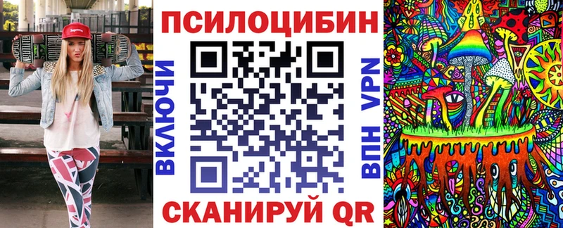 Галлюциногенные грибы Psilocybe  Гаджиево 