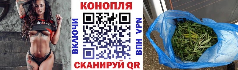 Каннабис планчик  сайты даркнета состав  Гаджиево 